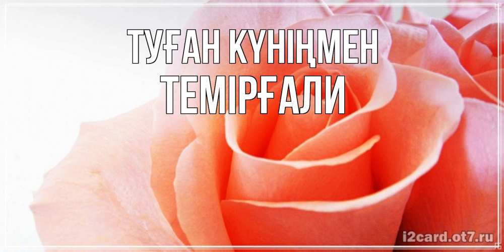 Күн сайын ашық хат с именем, ТЕМІРҒАЛИ Туған күніңмен розы для поздравления с днем рождения Онлайн тегін жүктеп алу тілектері бар керемет карта 