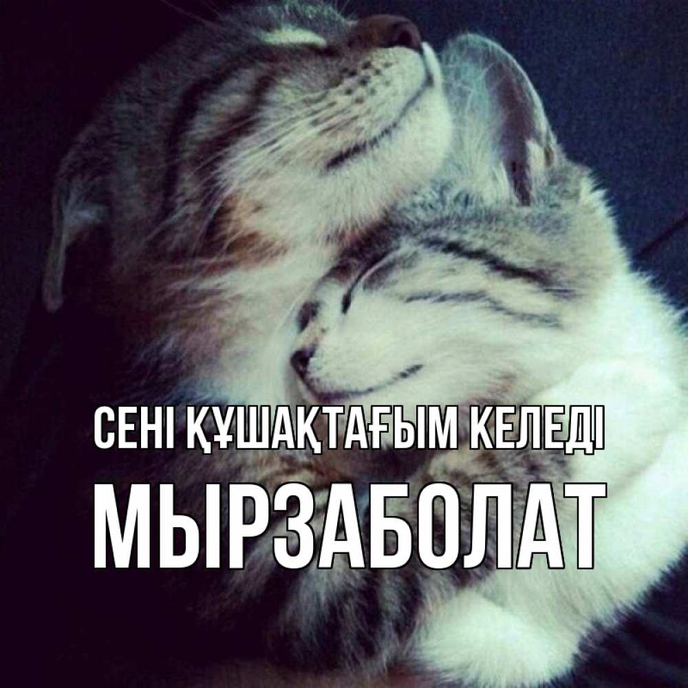 Күн сайын ашық хат с именем, Мырзаболат сені құшақтағым келеді полосатики Онлайн тегін жүктеп алу тілектері бар керемет карта 