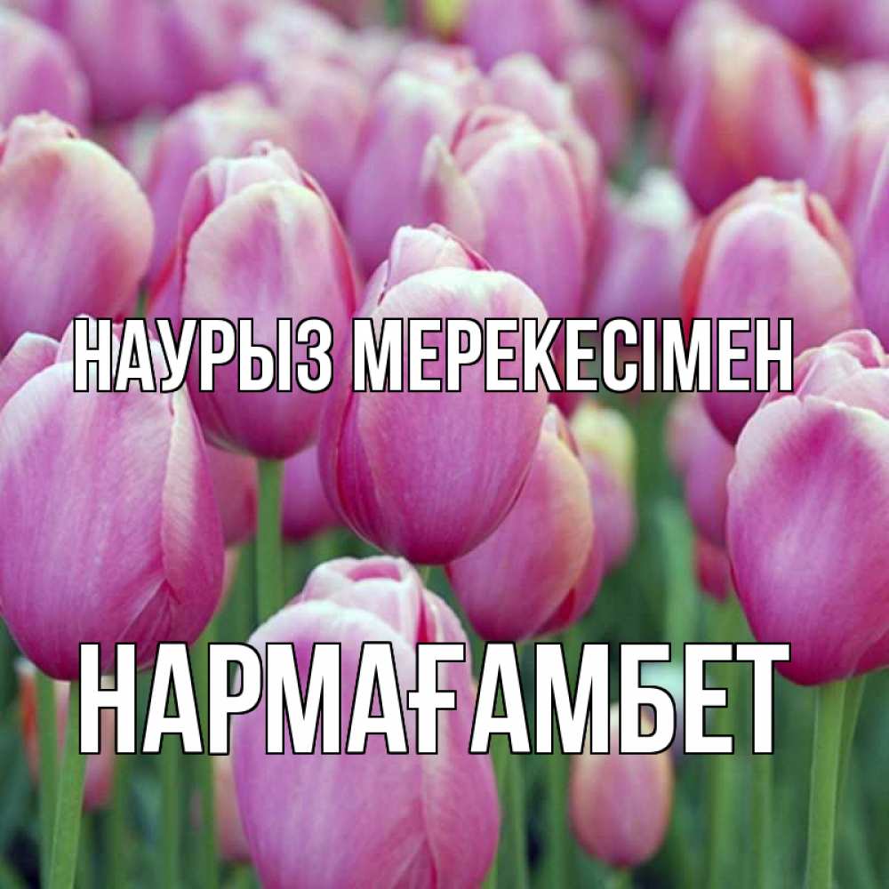 Күн сайын ашық хат с именем, НАРМАҒАМБЕТ Наурыз мерекесімен праздник весны наурыз 69 Онлайн тегін жүктеп алу тілектері бар керемет карта 