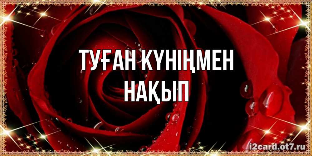 Күн сайын ашық хат с именем, НАҚЫП Туған күніңмен цветок в росе на день рождения Онлайн тегін жүктеп алу тілектері бар керемет карта 