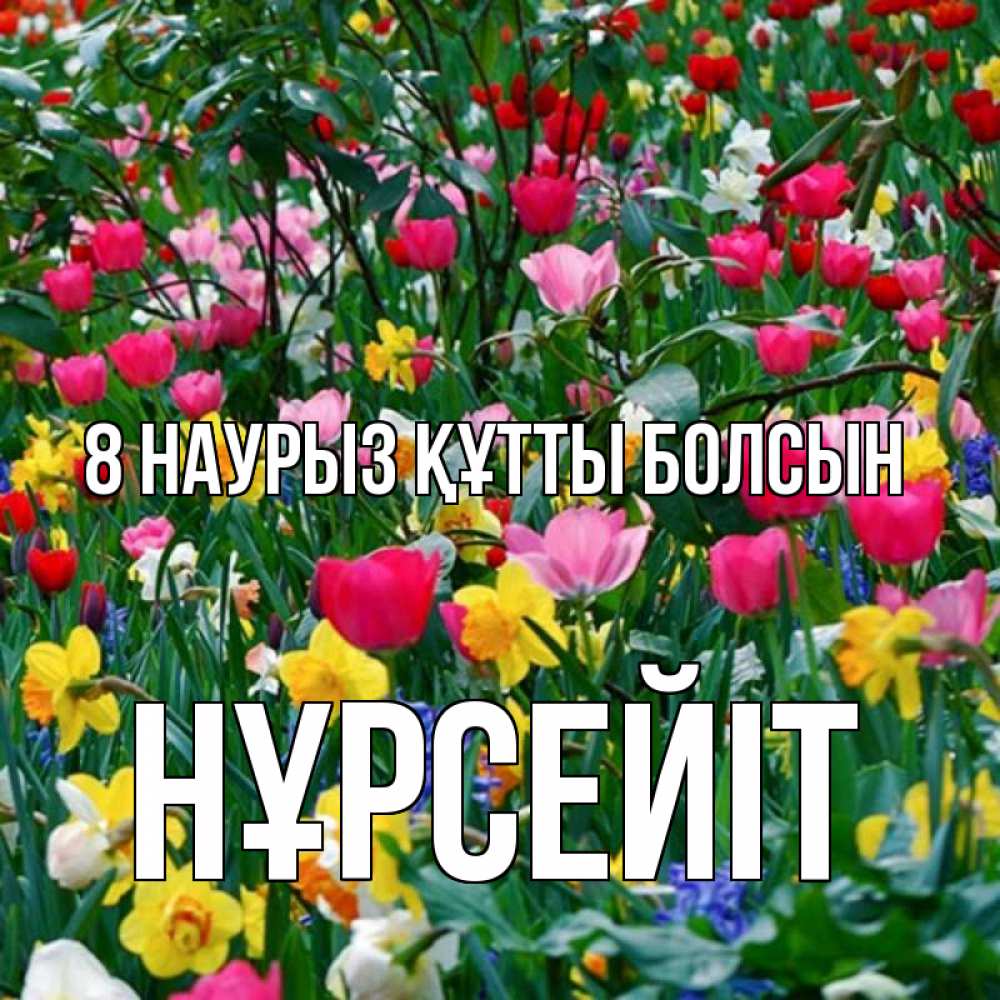 Күн сайын ашық хат с именем, НҰРСЕЙІТ 8 наурыз құтты болсын с международным женским днем поздравления для женщины Онлайн тегін жүктеп алу тілектері бар керемет карта 