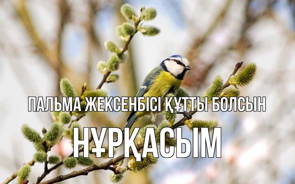 Күн сайын ашық хат с именем, НҰРҚАСЫМ Пальма жексенбісі құтты болсын верба Онлайн тегін жүктеп алу тілектері бар керемет карта 