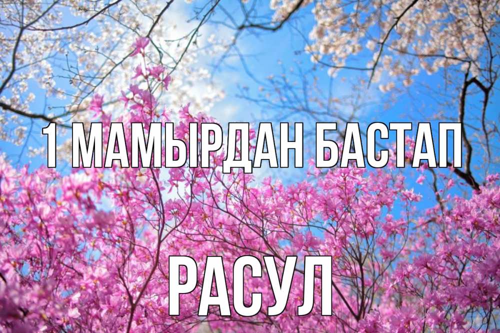 Күн сайын ашық хат с именем, РАСУЛ 1 мамырдан бастап С 1 мая Онлайн тегін жүктеп алу тілектері бар керемет карта 