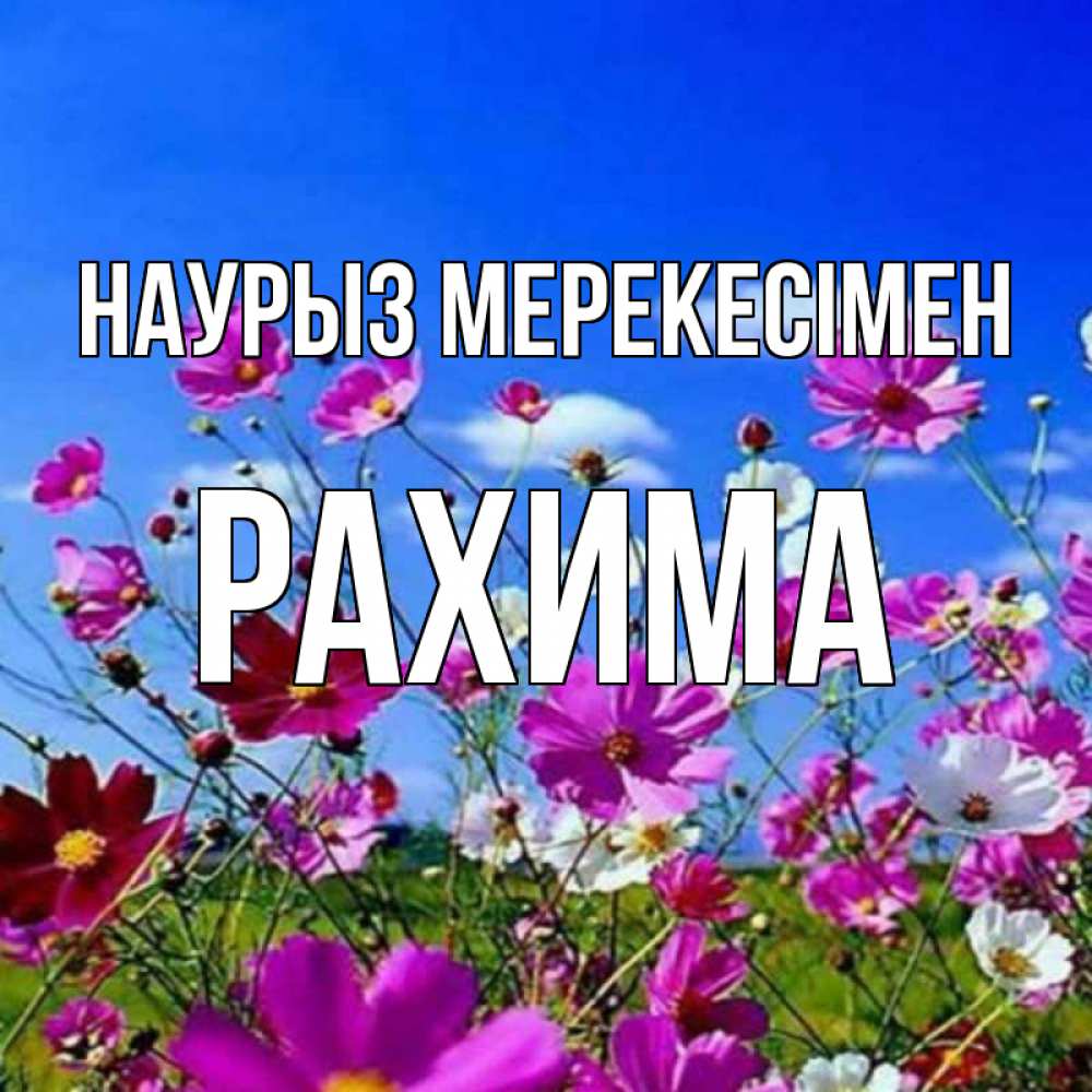 Күн сайын ашық хат с именем, РАХИМА Наурыз мерекесімен цветы Онлайн тегін жүктеп алу тілектері бар керемет карта 