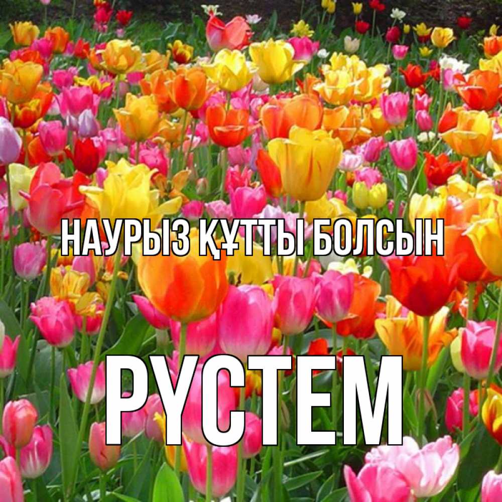 Күн сайын ашық хат с именем, РҮСТЕМ Наурыз құтты болсын на наурыз  ура ура Онлайн тегін жүктеп алу тілектері бар керемет карта 