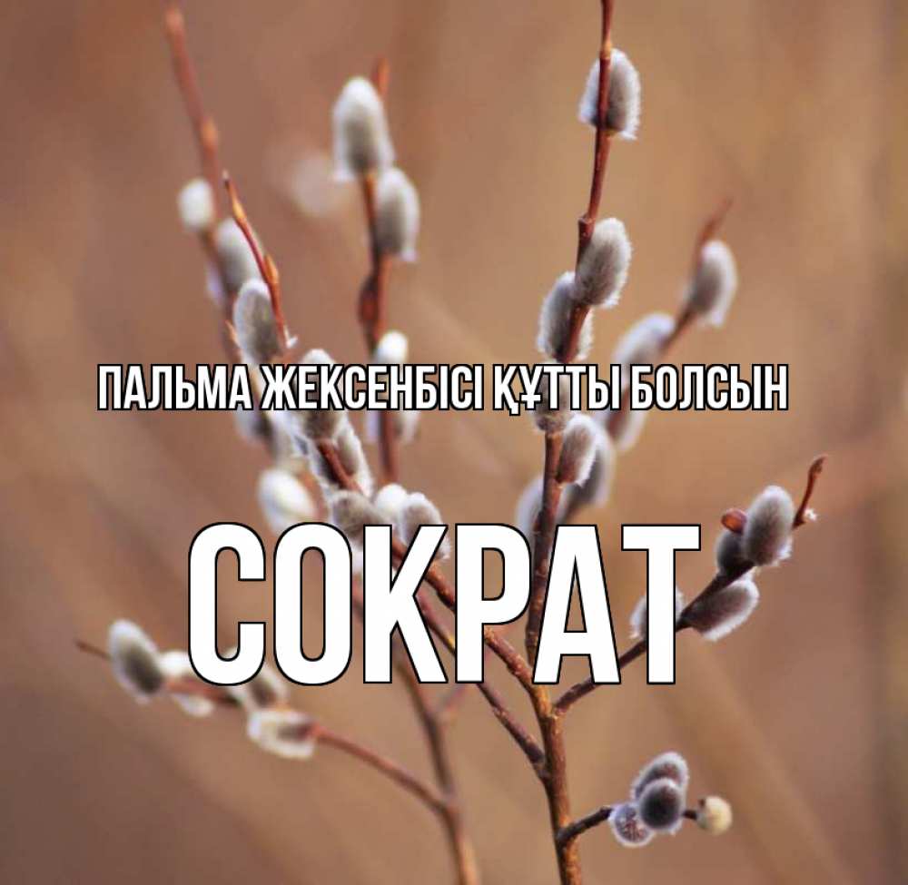 Күн сайын ашық хат с именем, Сократ Пальма жексенбісі құтты болсын верба Онлайн тегін жүктеп алу тілектері бар керемет карта 