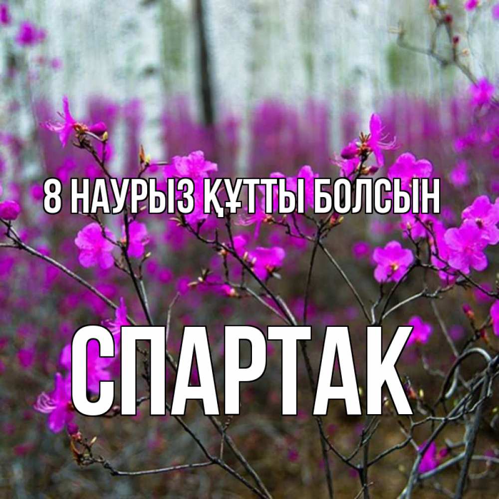 Күн сайын ашық хат с именем, Спартак 8 наурыз құтты болсын дикие цветы Онлайн тегін жүктеп алу тілектері бар керемет карта 