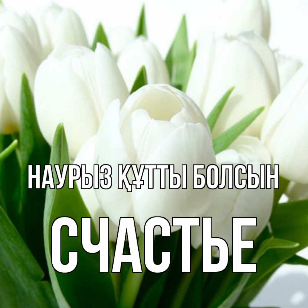 Күн сайын ашық хат с именем, Счастье Наурыз құтты болсын цветы Онлайн тегін жүктеп алу тілектері бар керемет карта 