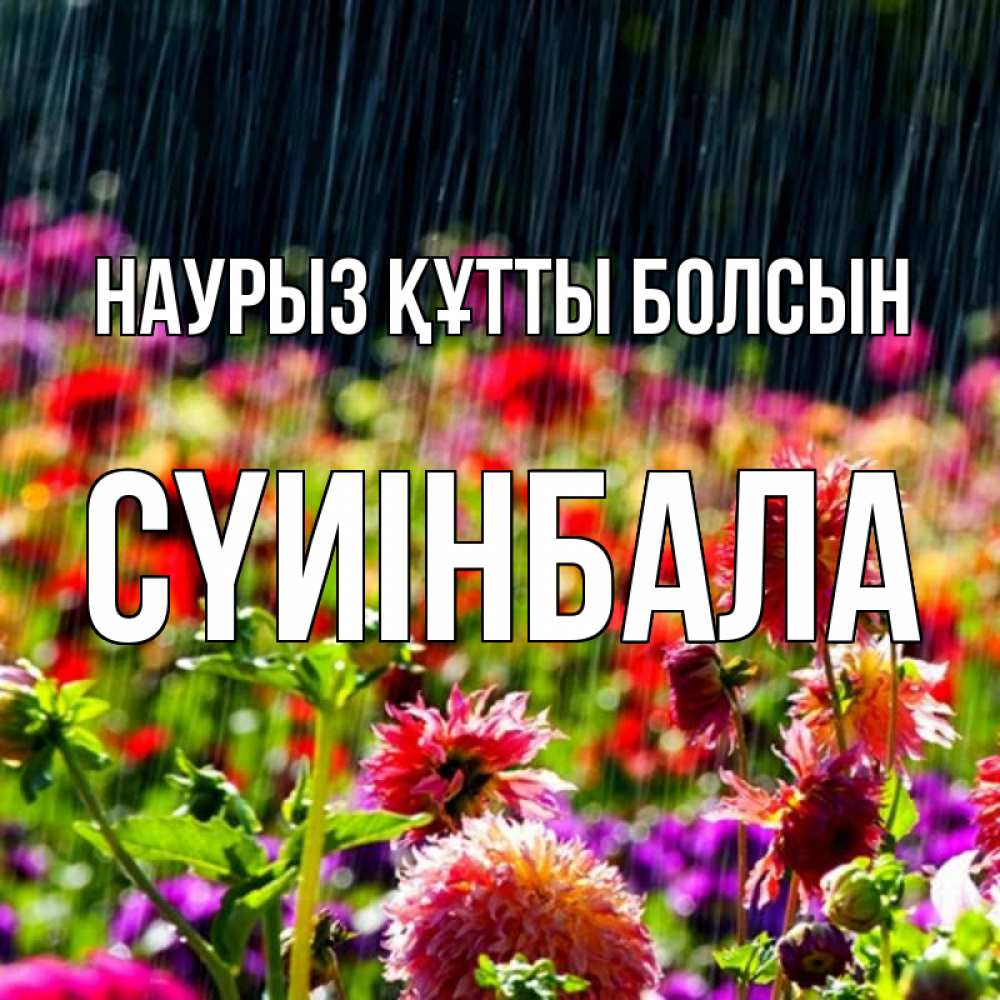 Күн сайын ашық хат с именем, СҮИІНБАЛА Наурыз құтты болсын цветы под дождиком к наурызу Онлайн тегін жүктеп алу тілектері бар керемет карта 