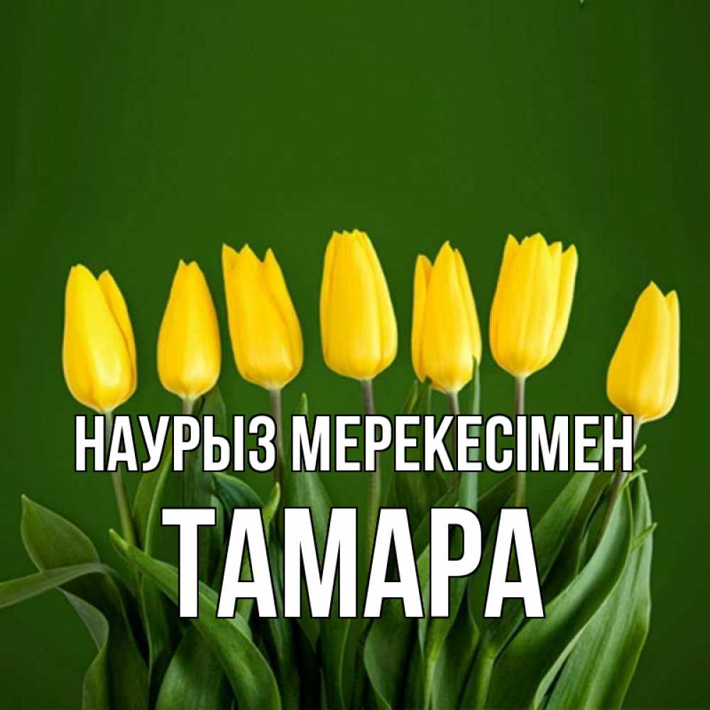Күн сайын ашық хат с именем, ТАМАРА Наурыз мерекесімен желтого цвета 3 Онлайн тегін жүктеп алу тілектері бар керемет карта 