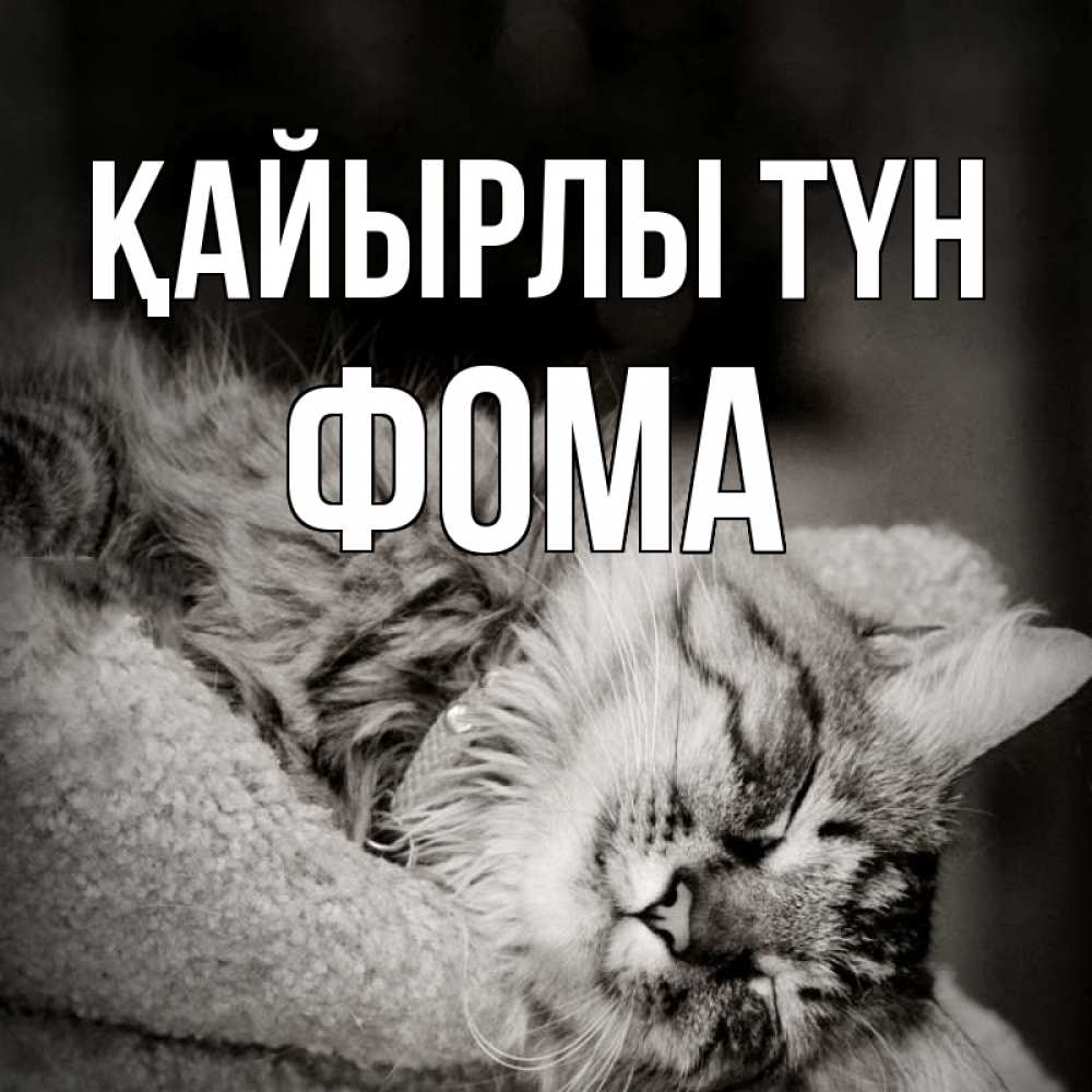 Күн сайын ашық хат с именем, Фома Қайырлы түн котярик пушистый Онлайн тегін жүктеп алу тілектері бар керемет карта 