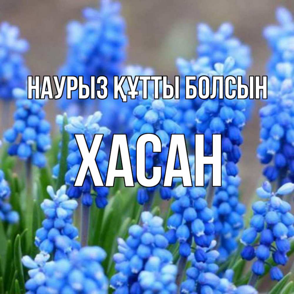 Күн сайын ашық хат с именем, ХАСАН Наурыз құтты болсын Поздравительная открытка для женщин с цветами на праздничную дату Онлайн тегін жүктеп алу тілектері бар керемет карта 
