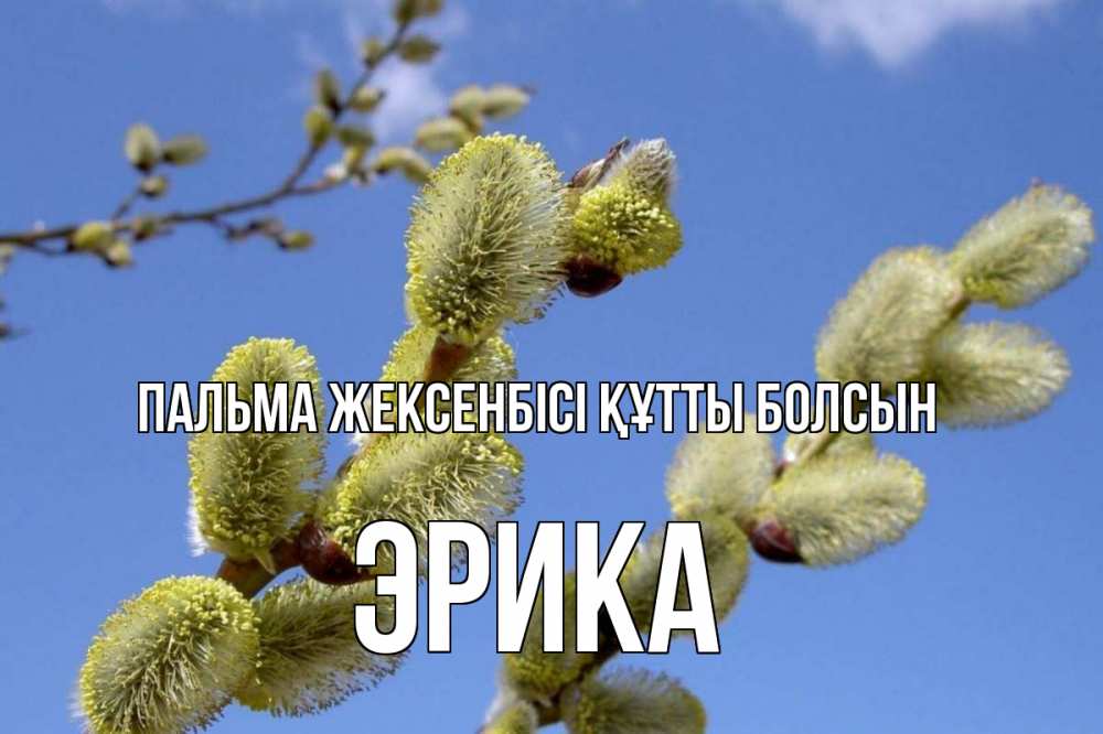 Күн сайын ашық хат с именем, Эрика Пальма жексенбісі құтты болсын верба Онлайн тегін жүктеп алу тілектері бар керемет карта 