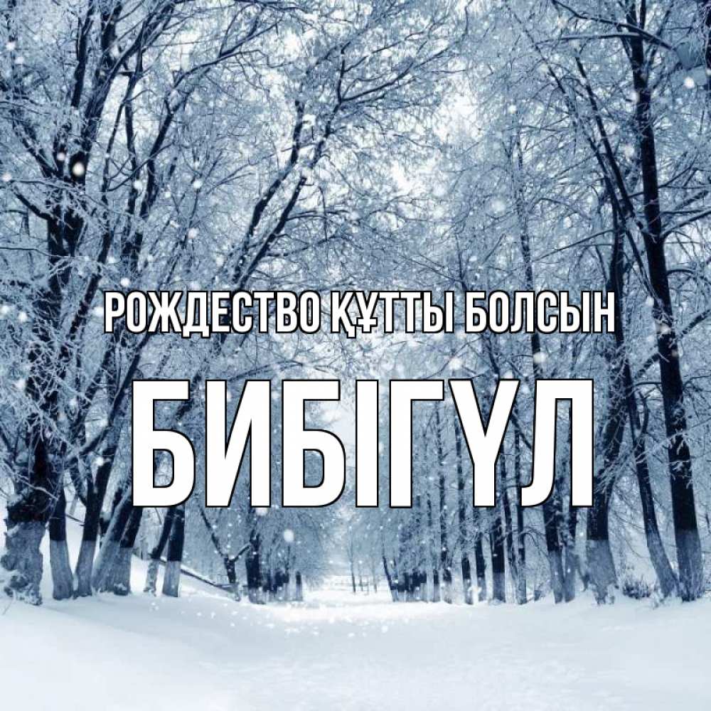 Күн сайын ашық хат с именем, БИБІГҮЛ Рождество құтты болсын снег, лес, парк Онлайн тегін жүктеп алу тілектері бар керемет карта 