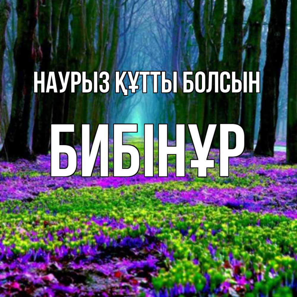 Күн сайын ашық хат с именем, БИБІНҰР Наурыз құтты болсын фиолетовые цветы в лесу 1 Онлайн тегін жүктеп алу тілектері бар керемет карта 
