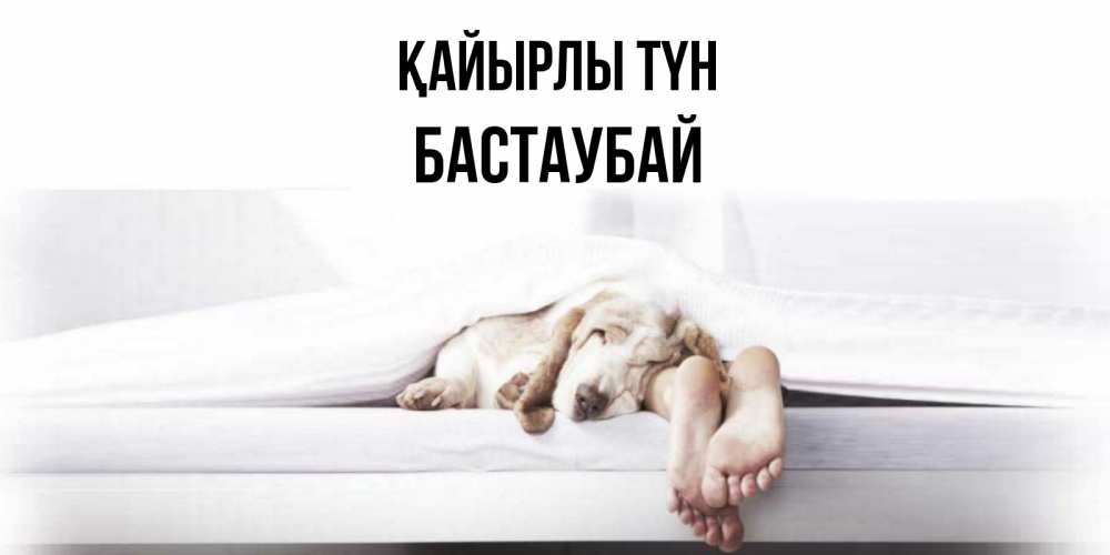 Күн сайын ашық хат с именем, Бастаубай Қайырлы түн кровать с собакой пожелание сладких снов и спокойной ночи Онлайн тегін жүктеп алу тілектері бар керемет карта 