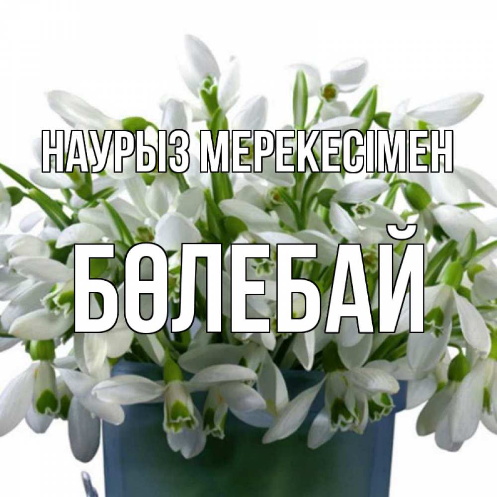 Күн сайын ашық хат с именем, Бөлебай Наурыз мерекесімен цветы к наурызу новый год в Казахстане Онлайн тегін жүктеп алу тілектері бар керемет карта 
