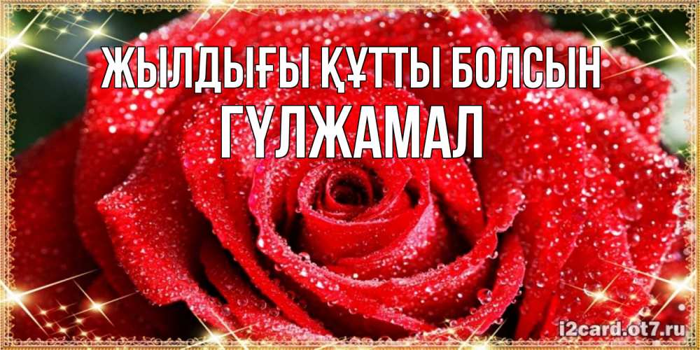 Күн сайын ашық хат с именем, ГҮЛЖАМАЛ Жылдығы құтты болсын роса и роза. открытка с красивой розой Онлайн тегін жүктеп алу тілектері бар керемет карта 