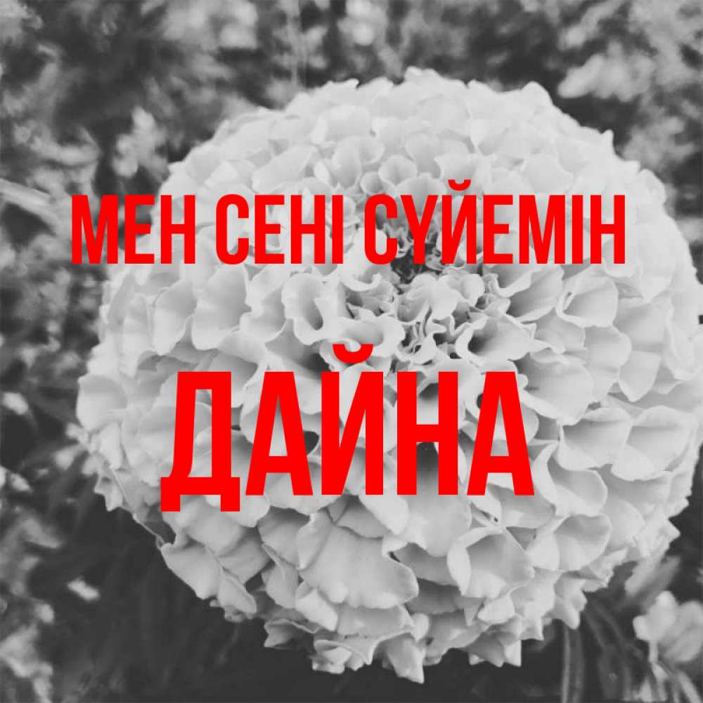 Күн сайын ашық хат с именем, Дайна Мен сені сүйемін подпись Онлайн тегін жүктеп алу тілектері бар керемет карта 