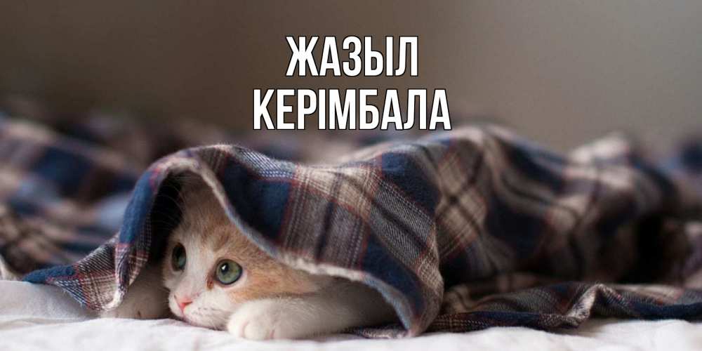 Күн сайын ашық хат с именем, КЕРІМБАЛА Жазыл не болейте с котиком Онлайн тегін жүктеп алу тілектері бар керемет карта 