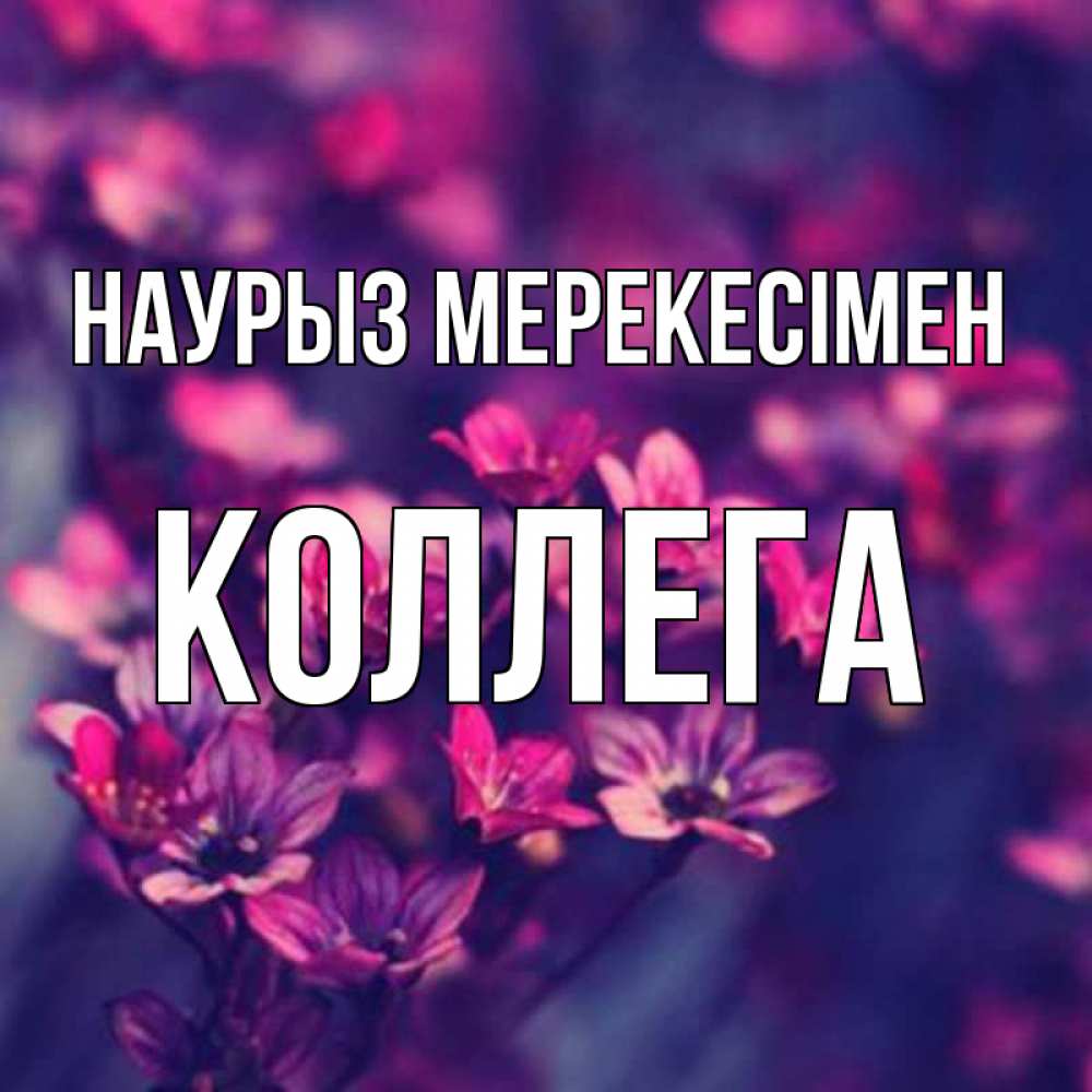 Күн сайын ашық хат с именем, Коллега Наурыз мерекесімен небольшие цветы 1 Онлайн тегін жүктеп алу тілектері бар керемет карта 