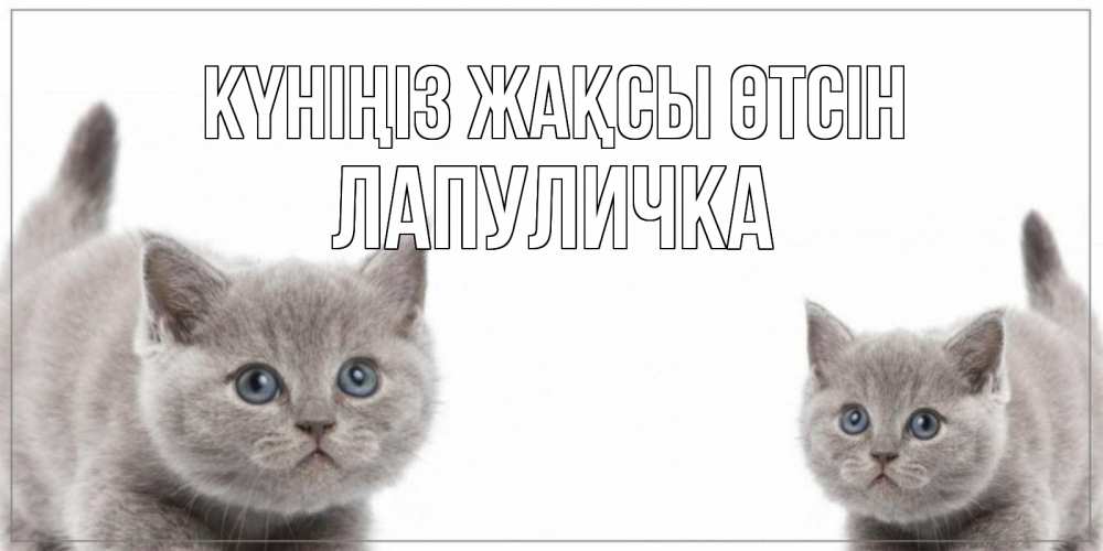 Күн сайын ашық хат с именем, Лапуличка Күніңіз жақсы өтсін открытка с котами Онлайн тегін жүктеп алу тілектері бар керемет карта 