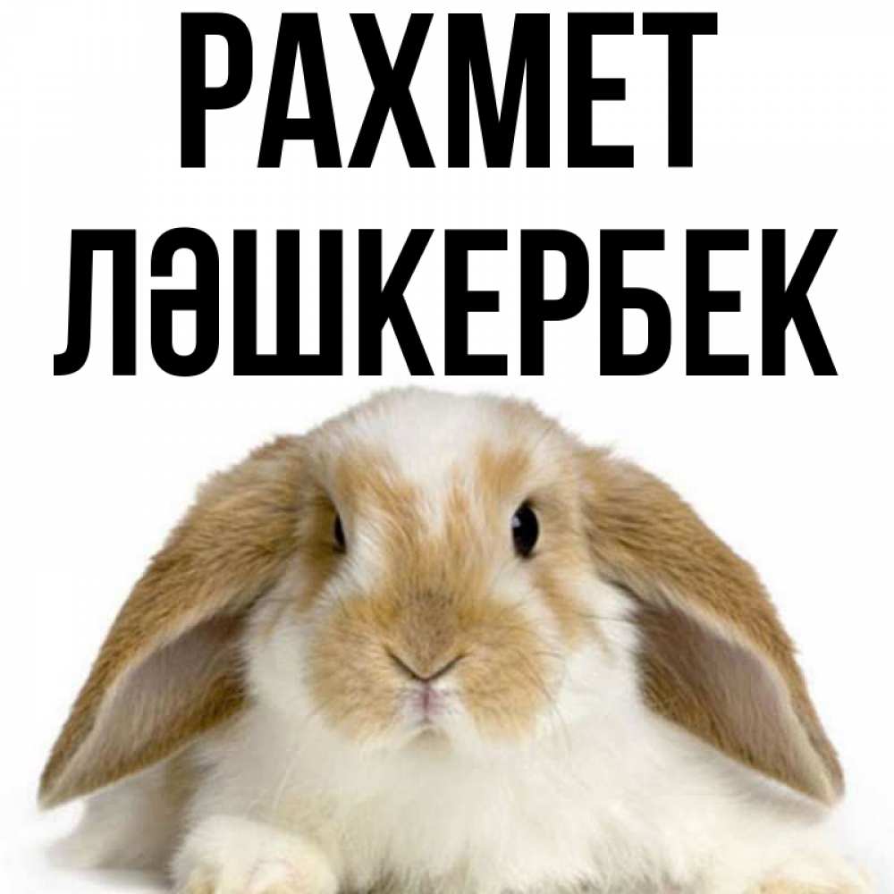 Күн сайын ашық хат с именем, ЛӘШКЕРБЕК рахмет коричнево белый заяц Онлайн тегін жүктеп алу тілектері бар керемет карта 