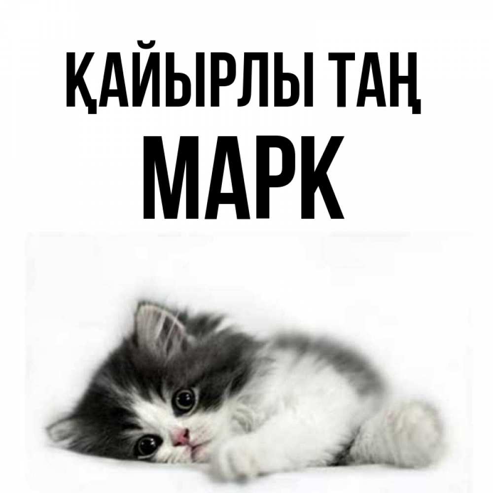 Күн сайын ашық хат с именем, Марк Қайырлы таң кот лапки Онлайн тегін жүктеп алу тілектері бар керемет карта 