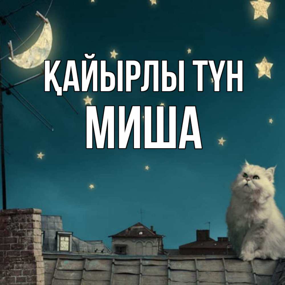 Күн сайын ашық хат с именем, Миша Қайырлы түн белый кот сидит на крыше Онлайн тегін жүктеп алу тілектері бар керемет карта 