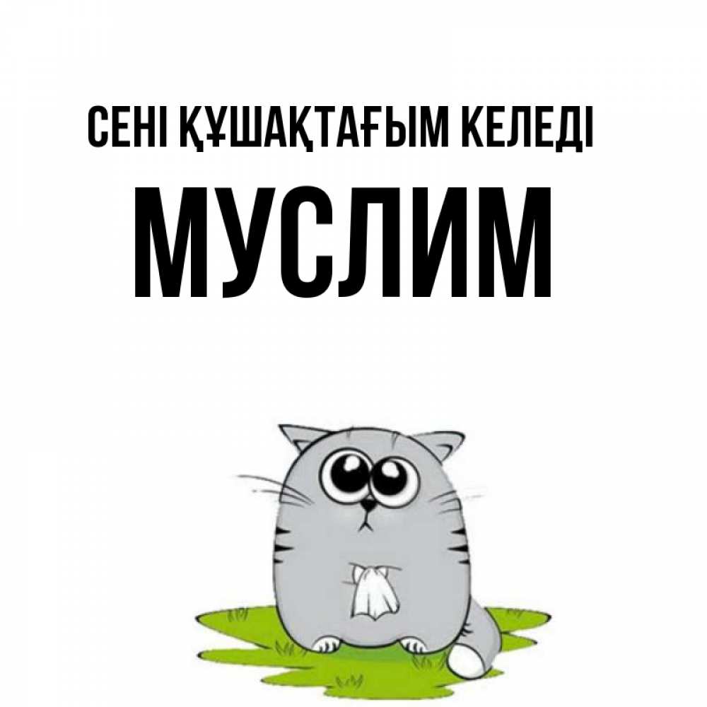 Күн сайын ашық хат с именем, Муслим сені құшақтағым келеді котик теребит платочек сидя на травке Онлайн тегін жүктеп алу тілектері бар керемет карта 