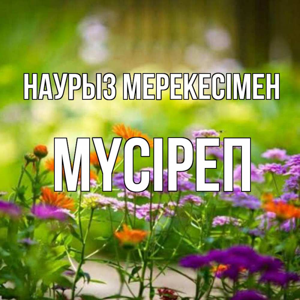 Күн сайын ашық хат с именем, МҮСІРЕП Наурыз мерекесімен цветы Онлайн тегін жүктеп алу тілектері бар керемет карта 