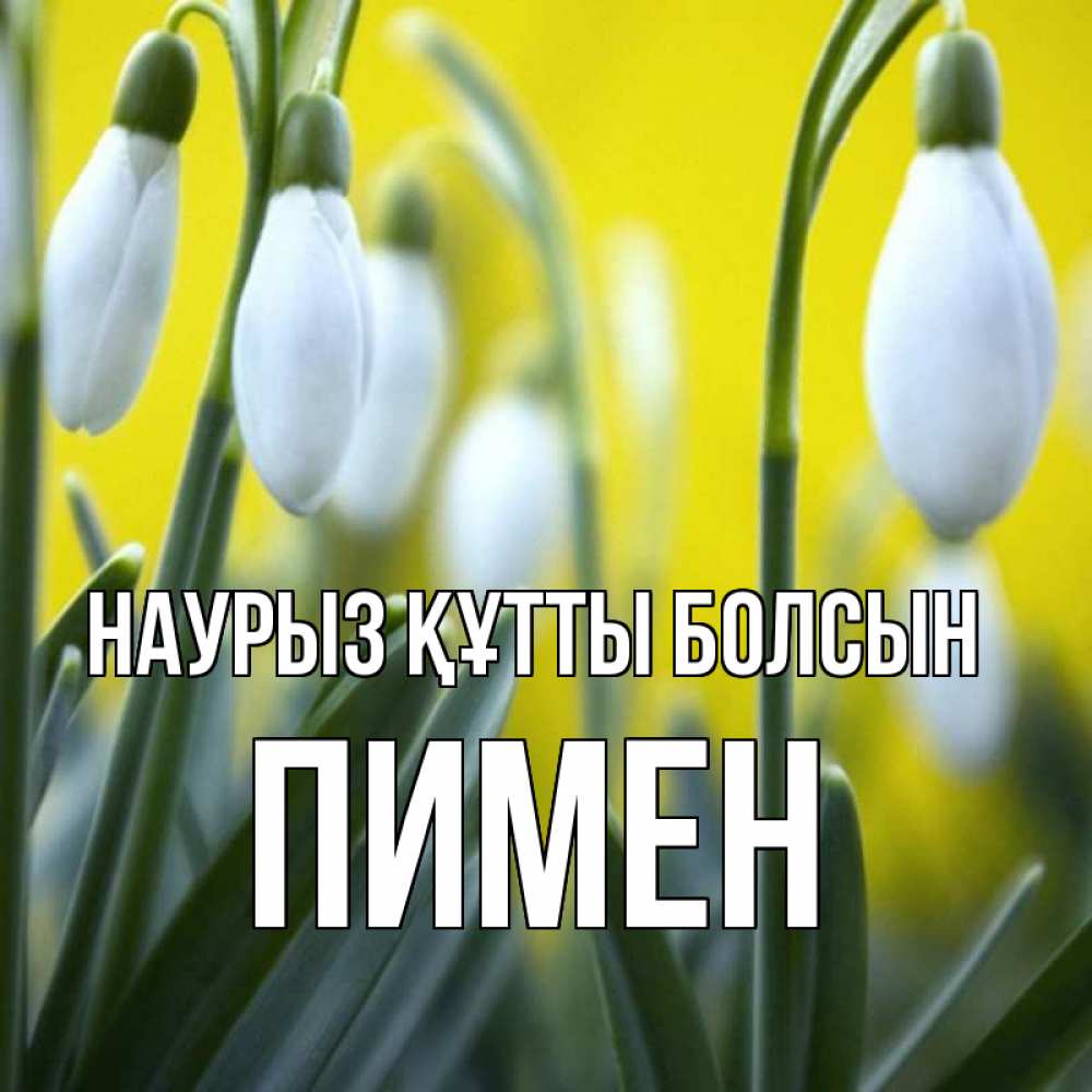 Күн сайын ашық хат с именем, Пимен Наурыз құтты болсын весенние цветы Онлайн тегін жүктеп алу тілектері бар керемет карта 