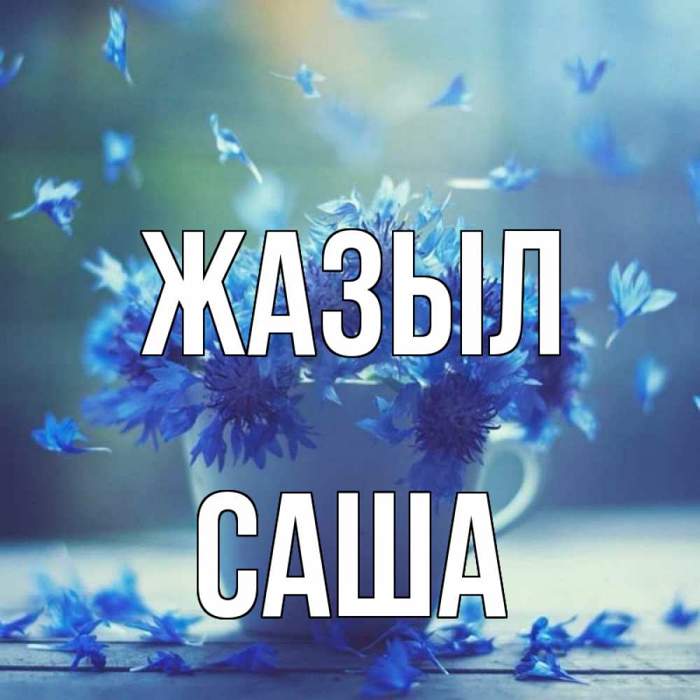 Күн сайын ашық хат с именем, Саша Жазыл кружка с зельем и цветами Онлайн тегін жүктеп алу тілектері бар керемет карта 