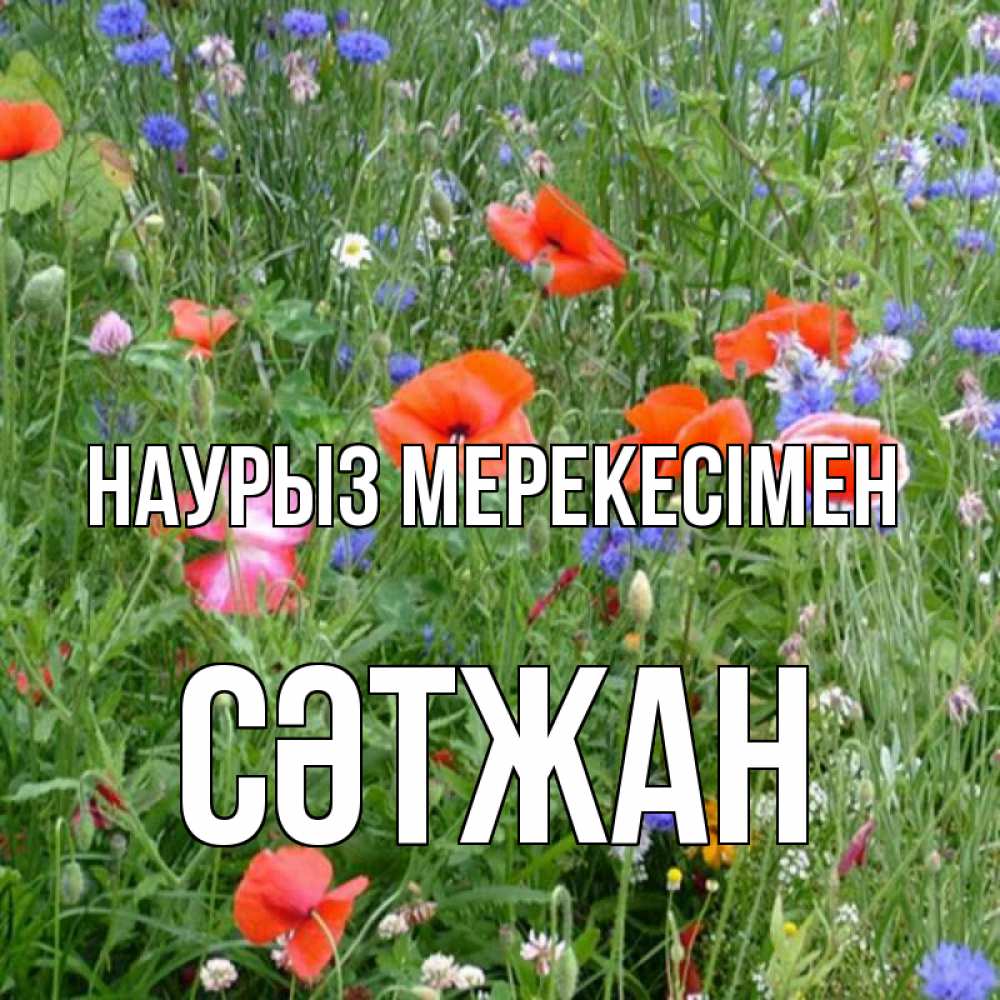 Күн сайын ашық хат с именем, СӘТЖАН Наурыз мерекесімен праздник весны наурыз супер открытка Онлайн тегін жүктеп алу тілектері бар керемет карта 