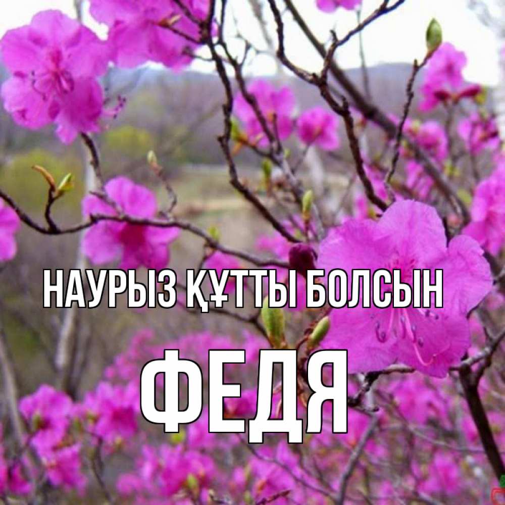 Күн сайын ашық хат с именем, Федя Наурыз құтты болсын наурыз мейрамы кутты болсын Онлайн тегін жүктеп алу тілектері бар керемет карта 