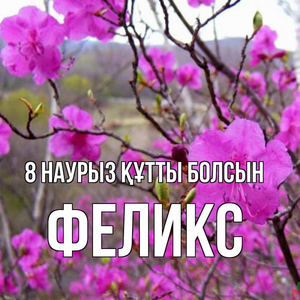 Күн сайын ашық хат с именем, Феликс 8 наурыз құтты болсын международный женский день Онлайн тегін жүктеп алу тілектері бар керемет карта 