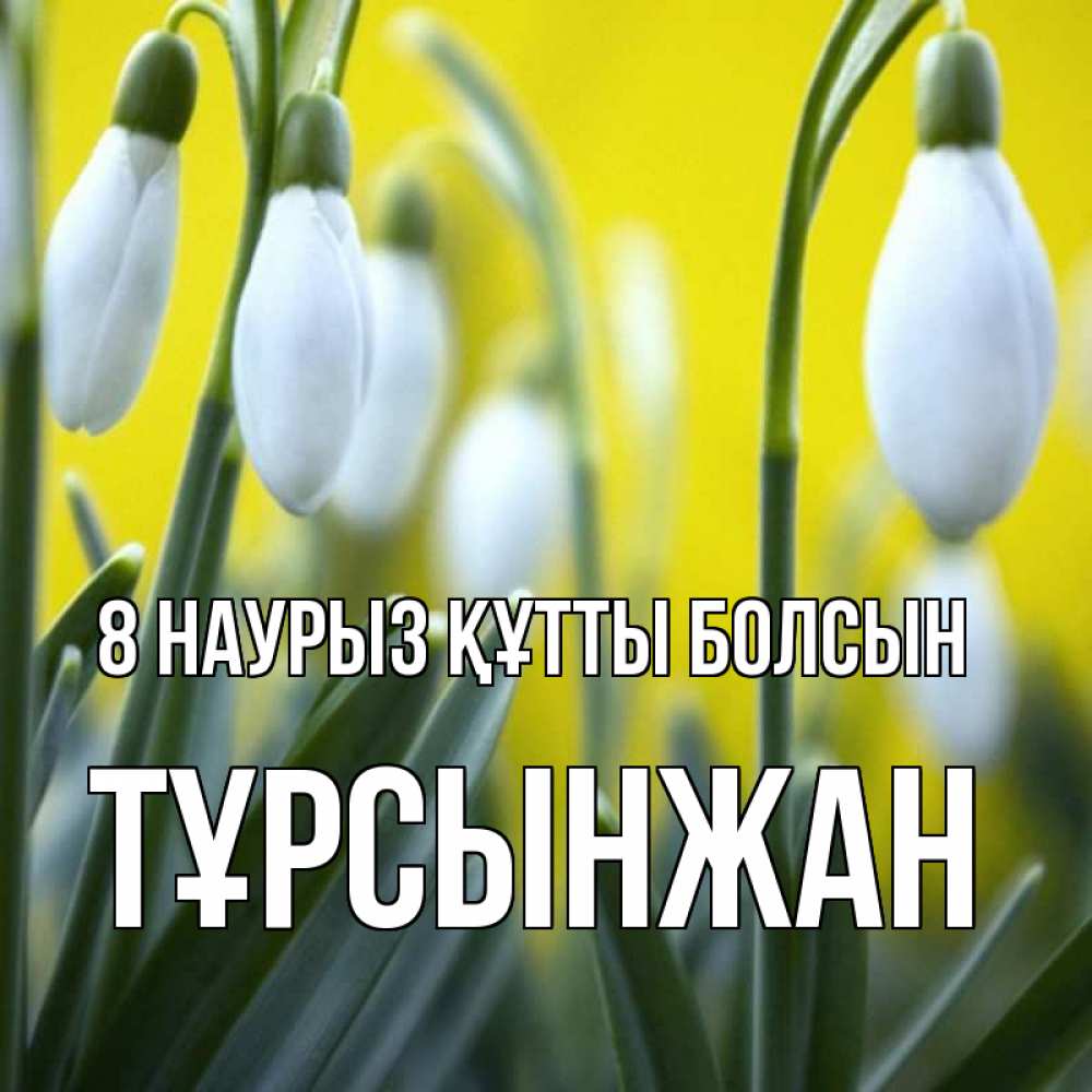 Күн сайын ашық хат с именем, ТҰРСЫНЖАН 8 наурыз құтты болсын весенние цветы Онлайн тегін жүктеп алу тілектері бар керемет карта 