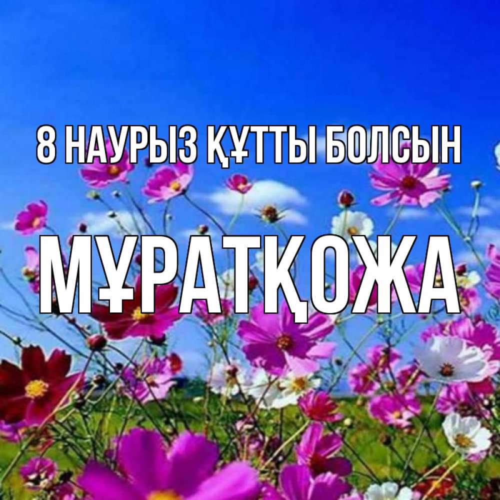 Күн сайын ашық хат с именем, Мұратқожа 8 наурыз құтты болсын цветы Онлайн тегін жүктеп алу тілектері бар керемет карта 