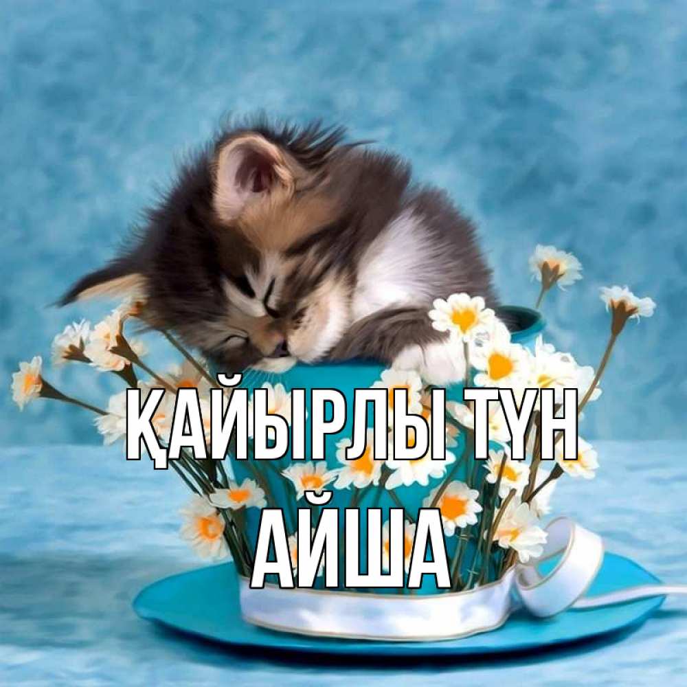 Күн сайын ашық хат с именем, АЙША Қайырлы түн котенок спит в кружке с блюдцем Онлайн тегін жүктеп алу тілектері бар керемет карта 