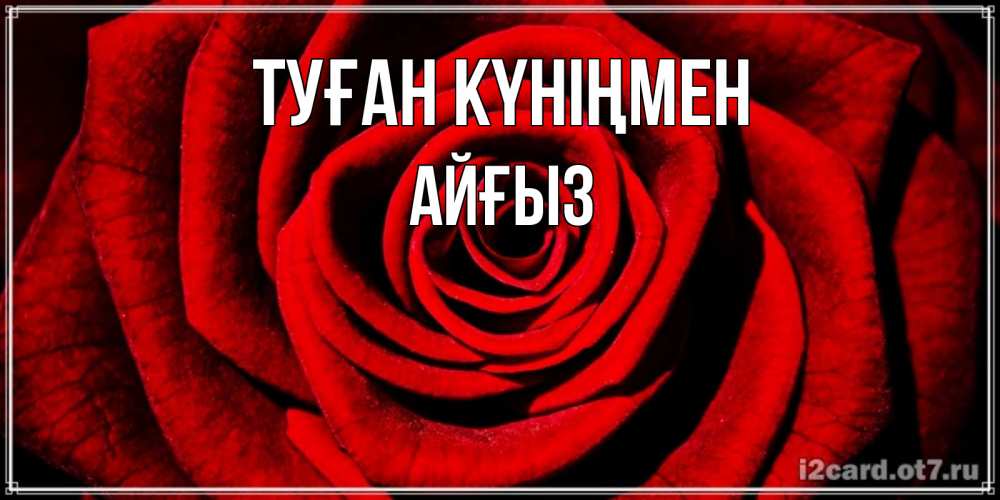 Күн сайын ашық хат с именем, АЙҒЫЗ Туған күніңмен алая роза Онлайн тегін жүктеп алу тілектері бар керемет карта 