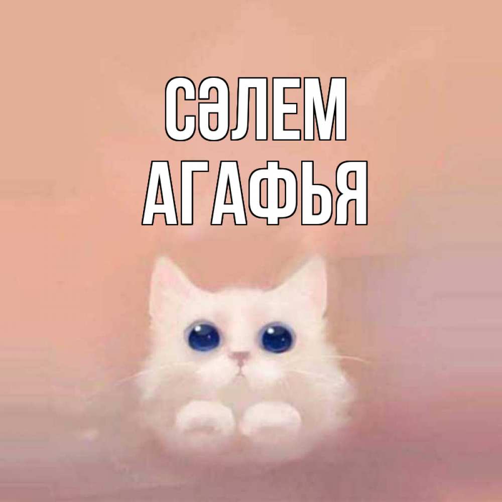 Күн сайын ашық хат с именем, Агафья Сәлем котик белый в полете Онлайн тегін жүктеп алу тілектері бар керемет карта 