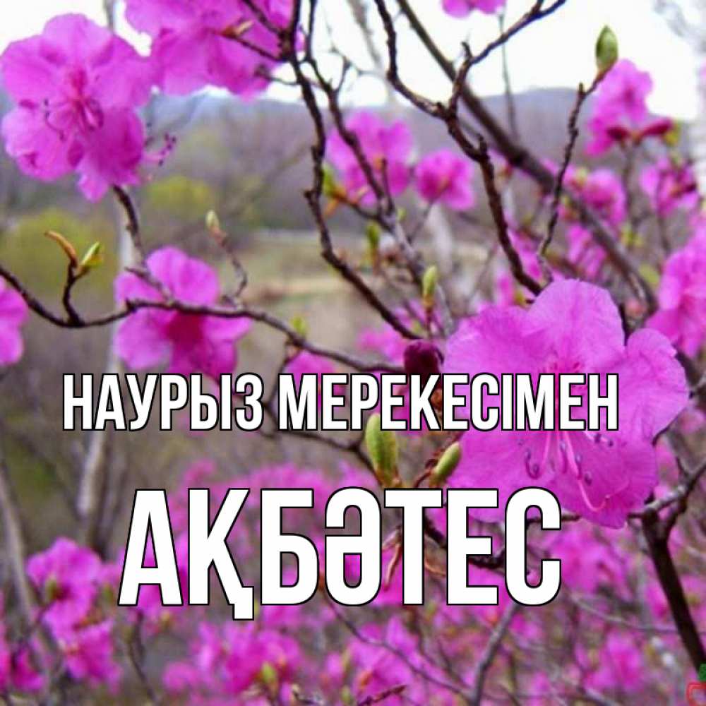 Күн сайын ашық хат с именем, АҚБӘТЕС Наурыз мерекесімен праздник весны наурыз Онлайн тегін жүктеп алу тілектері бар керемет карта 