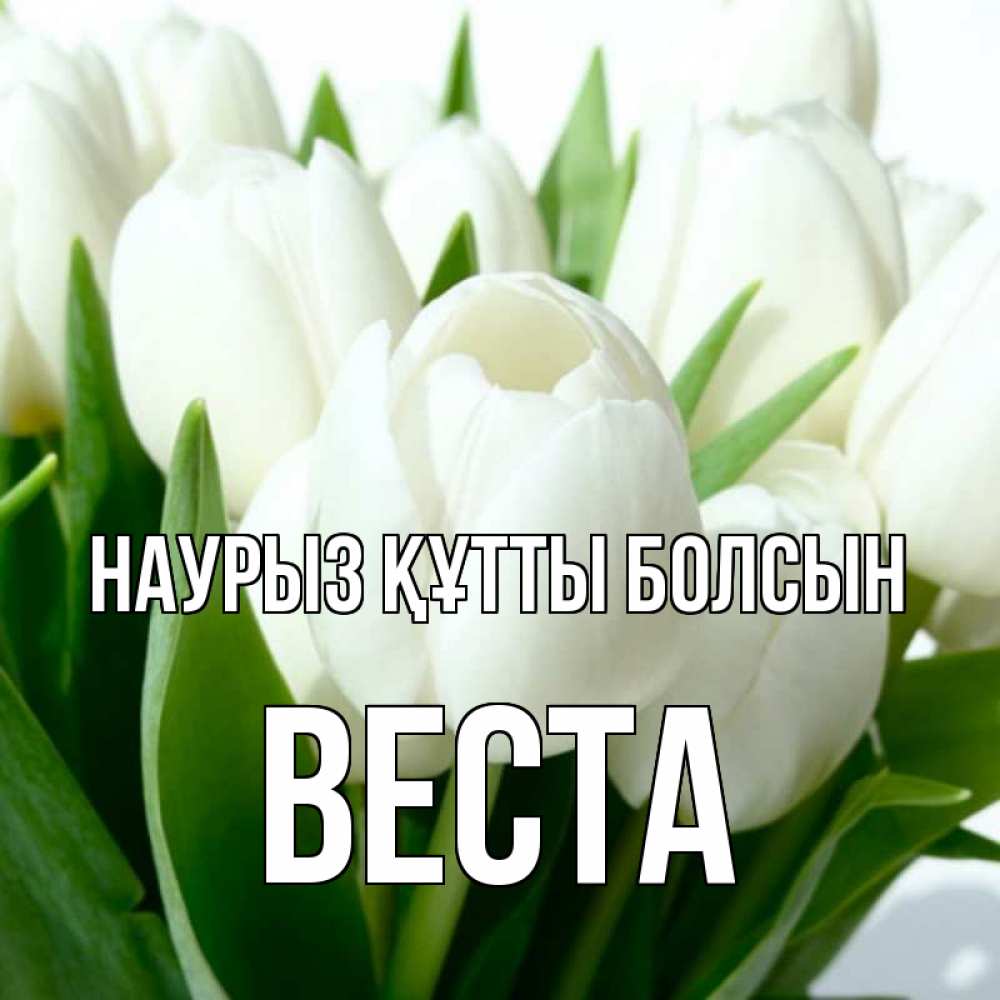 Күн сайын ашық хат с именем, Веста Наурыз құтты болсын цветы Онлайн тегін жүктеп алу тілектері бар керемет карта 