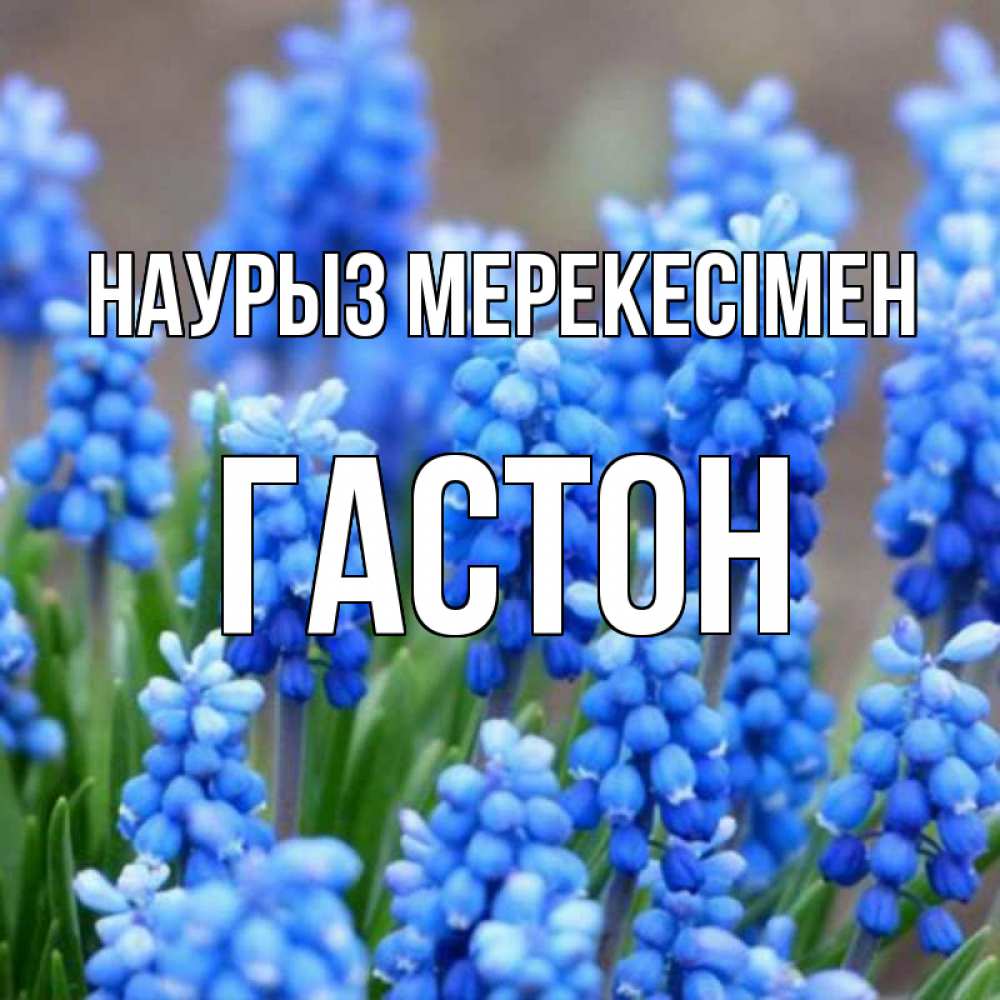 Күн сайын ашық хат с именем, Гастон Наурыз мерекесімен Поздравительная открытка для женщин с цветами на праздничную дату Онлайн тегін жүктеп алу тілектері бар керемет карта 