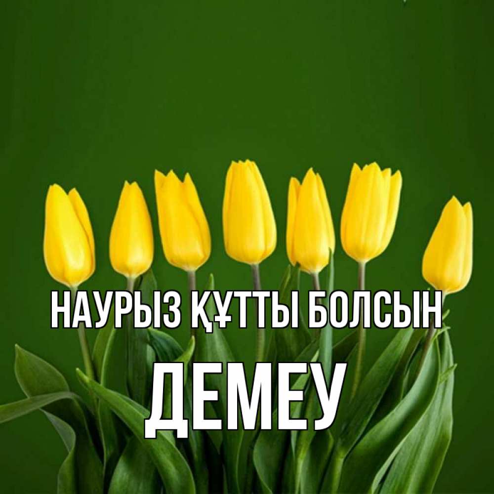 Күн сайын ашық хат с именем, Демеу Наурыз құтты болсын желтого цвета 3 Онлайн тегін жүктеп алу тілектері бар керемет карта 