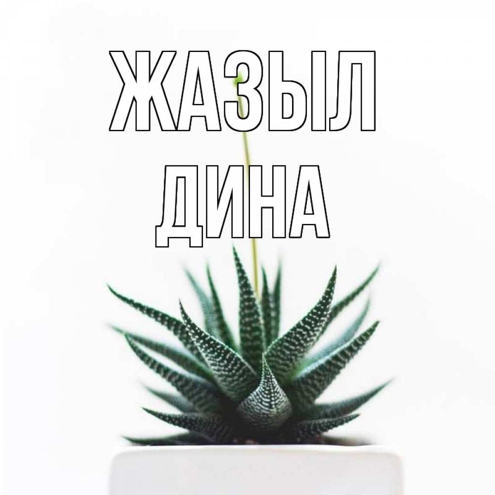 Күн сайын ашық хат с именем, Дина Жазыл короче это непонятная колючка Онлайн тегін жүктеп алу тілектері бар керемет карта 