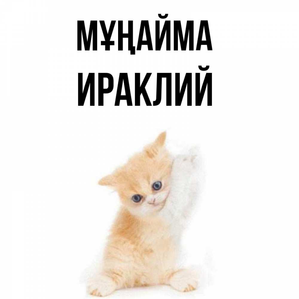 Күн сайын ашық хат с именем, Ираклий Мұңайма просящий кот Онлайн тегін жүктеп алу тілектері бар керемет карта 