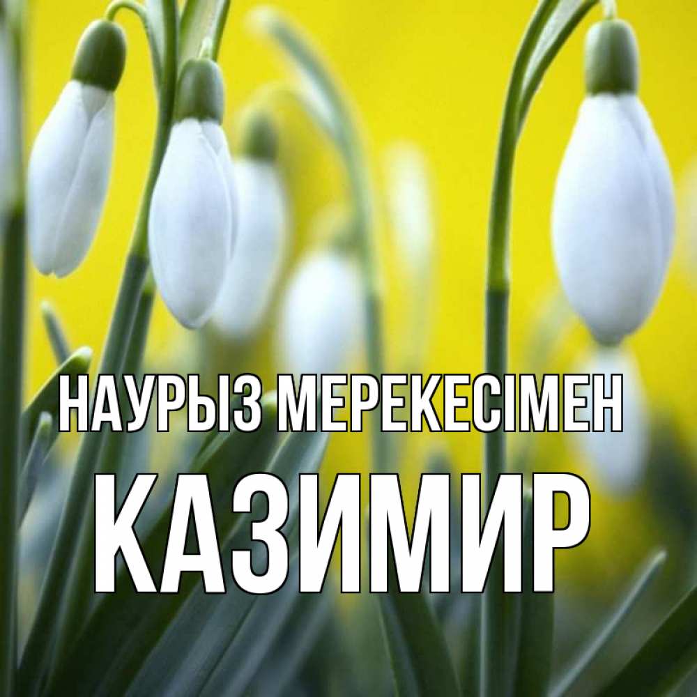 Күн сайын ашық хат с именем, Казимир Наурыз мерекесімен весенние цветы Онлайн тегін жүктеп алу тілектері бар керемет карта 