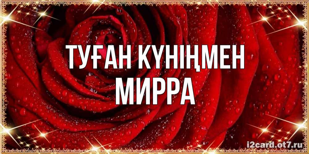 Күн сайын ашық хат с именем, Мирра Туған күніңмен роса на розе блестящая в лучах солнца Онлайн тегін жүктеп алу тілектері бар керемет карта 