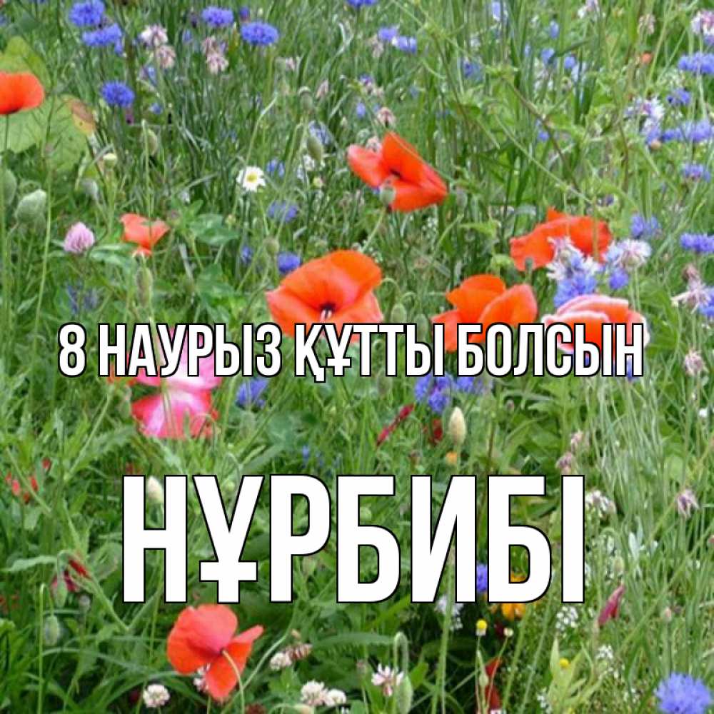 Күн сайын ашық хат с именем, НҰРБИБІ 8 наурыз құтты болсын международный женский день 4 Онлайн тегін жүктеп алу тілектері бар керемет карта 
